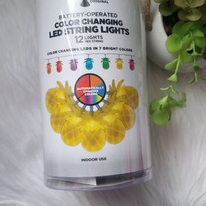 Lava Color Changing Pinapple 12 Led String Lights